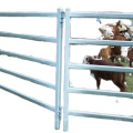 Austrália Market Livestock Farm Fence / Horse Fence Panel / Cattle Fence Panel cavalo ovinos curral painel portão do pátio